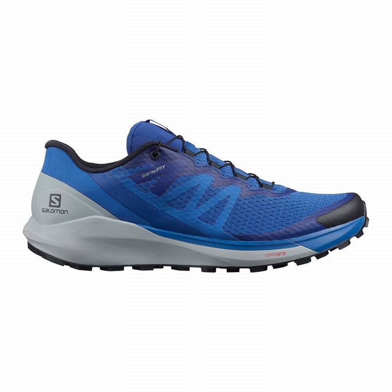 SALOMON SENSE RIDE 4 Philippines - Men's Trail Running Shoes - Blue | 420156-GBQ